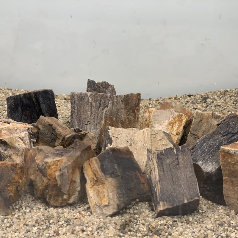 木化石 木化石・MIX（レギュラー3kg セット＋ミニ1kg）セット（kgあたり600円