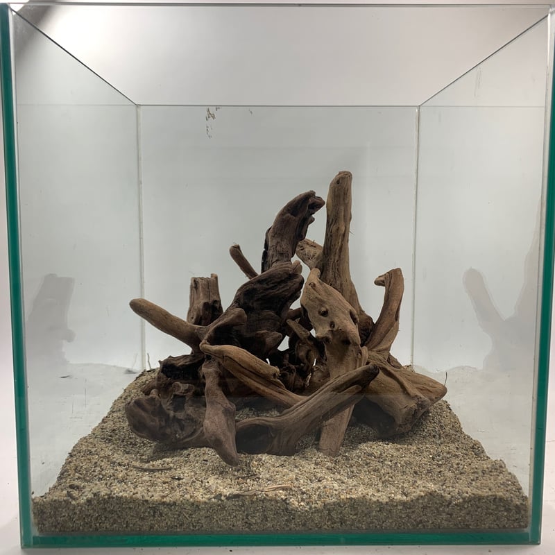 流木【1645.98.535.2345.2716】 マングローブ系流木 Sサイズ15cm〜25cm おまかせ5本×2セット（合計10本