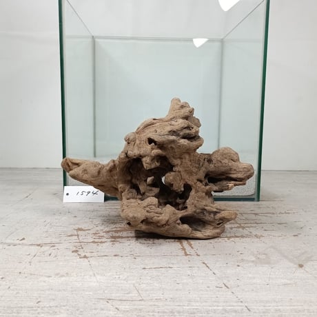 CATEGORY 流木（全種類） | 流木専門店のアクアリバー/アクアリウム