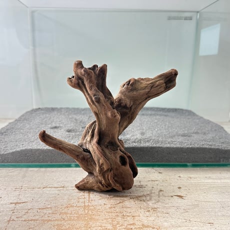 CATEGORY 流木インテリア・アクセサリー | 流木専門店のアクア