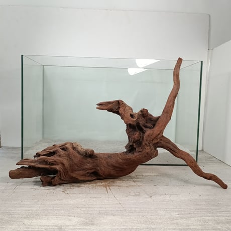 大型 流木【2129】 大型 流木【2129】 大型 流木【2129】 レイアウト用品