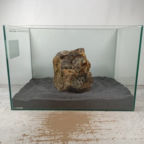 BIG木化石　１点もの　NO.1620（W約20cm/H約16cm)(45cm水槽）