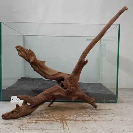 SS613 流木　灰汁抜き済み　❤️型空洞流木　シェルター　バスキング　インテリア SS613 流木 灰汁抜き済み ❤️型空洞流木 シェルター バスキング