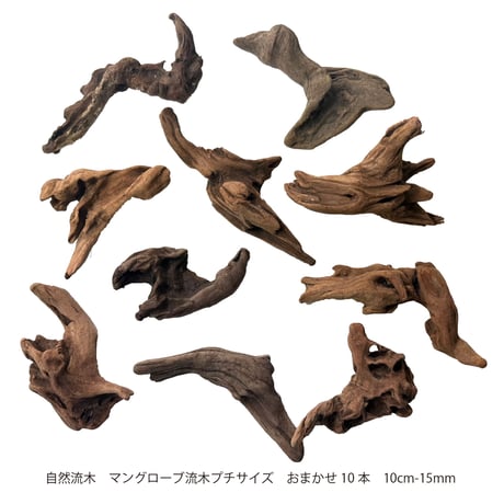 CATEGORY 30cm水槽サイズ | 流木専門店のアクアリバー/アクアリウム
