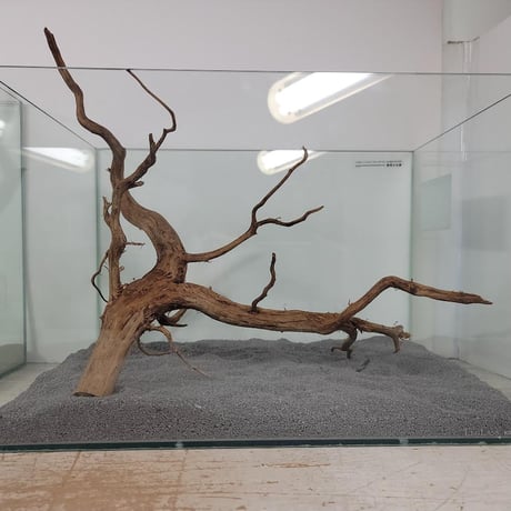 MSRW-5935 天然流木1点物 スリムウッド 90cm水槽用 アクアリウム