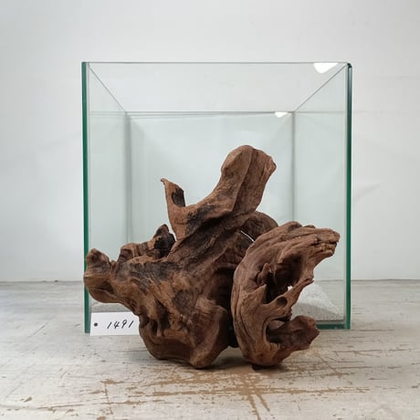 流木専門店のアクアリバー/アクアリウム/グリーンインテリア