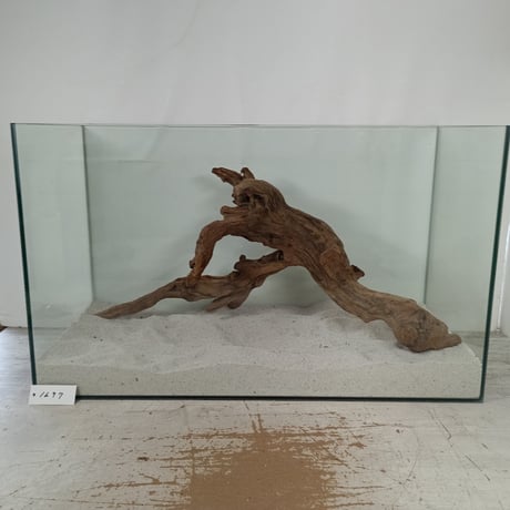 CATEGORY LONGマングローブ系 | 流木専門店のアクアリバー