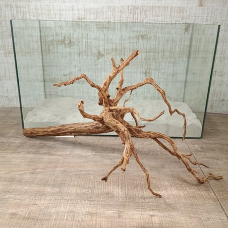 お買い得ロングネシア流木 ブラウンタイプ　3Lサイズ　1点ものNo.1820A【W約 59cm】