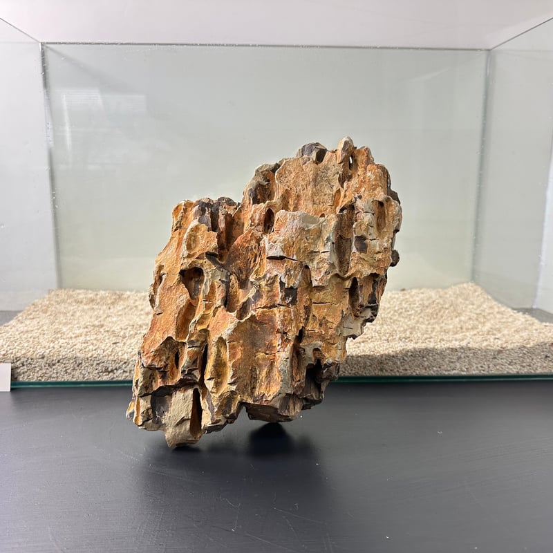 BIG気孔石塊 1点もの No.5017（W約30cm)(60cm水槽） | 流木専門