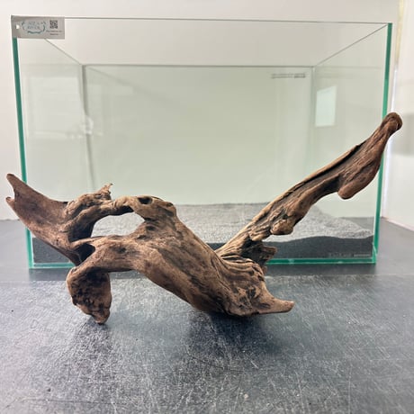 流木(横約60cm×最大高さ45cm) 90cm水槽より使用可