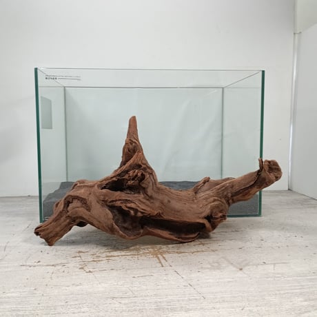 流木専門店のアクアリバー/アクアリウム/グリーンインテリア