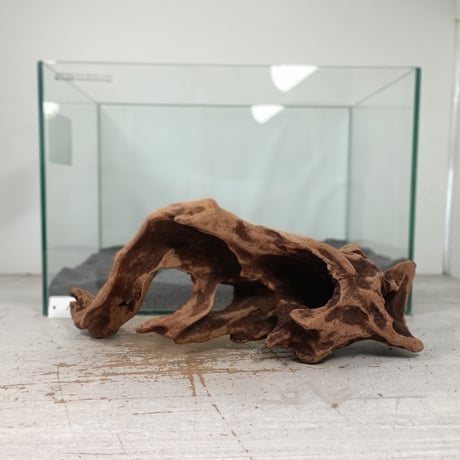 SS613 流木　灰汁抜き済み　❤️型空洞流木　シェルター　バスキング　インテリア 流木専門店のアクアリバー/アクアリウム/グリーンインテリア