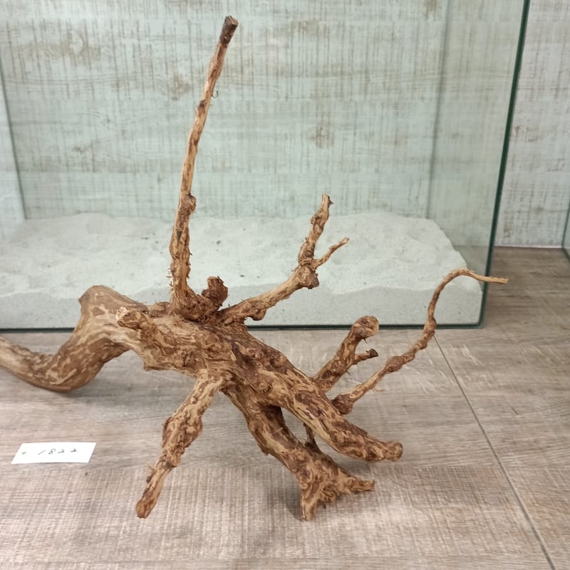 流木 うねうね系ロング　59cm 超お買い得ロングネシア流木 ブラウンタイプ 1点ものNo.1822【W約 59cm