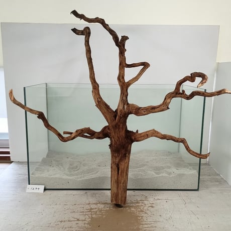 ITEM | 流木専門店のアクアリバー/アクアリウム/グリーンインテリア