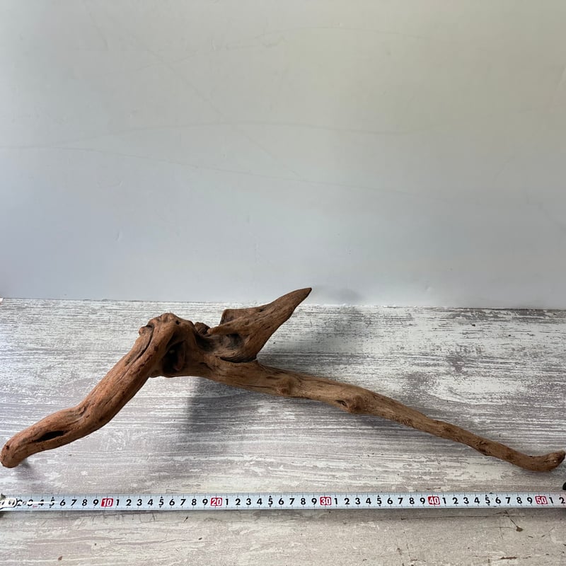 流木　オブジェ　荒波 流木 オブジェ 荒波 【公式通販】