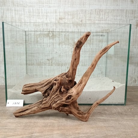 流木　セット アクアリウム 流木 インテリア 【公式通販】