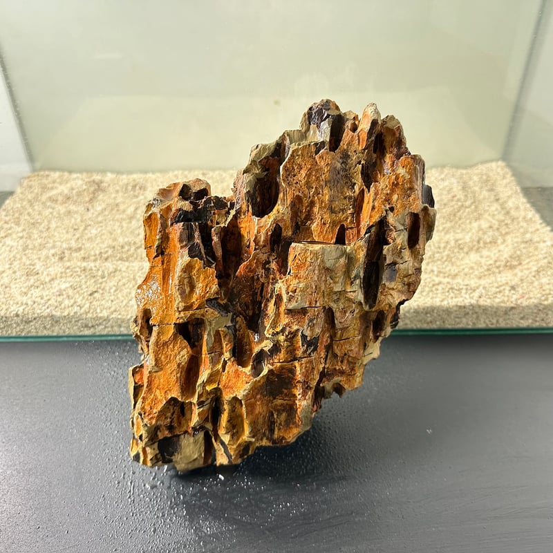 BIG気孔石塊 1点もの No.5017（W約30cm)(60cm水槽） | 流木専門店の