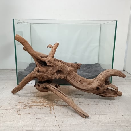 CATEGORY 2L | 流木専門店のアクアリバー/アクアリウム/グリーンインテリア