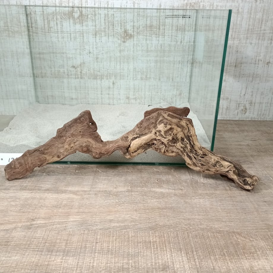 69cf6b416e449517ecaaa350