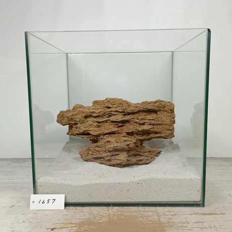 BIG気孔石　１点もの　No.1657（W約27cm)(30cm水槽）