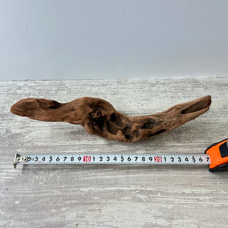流木インテリア(エアプランツ最適)(W約27cm) No.5149A(園芸/アクアリウム) | 流木インテリア(エアプランツ最適)(W約27cm) No.5149A(園芸/アクアリウム) |