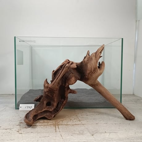 ITEM | 流木専門店のアクアリバー/アクアリウム/グリーンインテリア