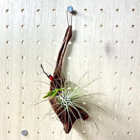 吊り下げ型 | STORES