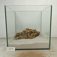 気孔石　１点もの　No.1653（W約26cm)(30cm水槽）