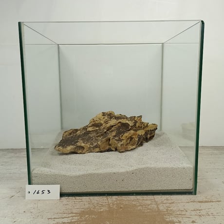 CATEGORY 気孔石 | 流木専門店のアクアリバー/アクアリウム/グリーン