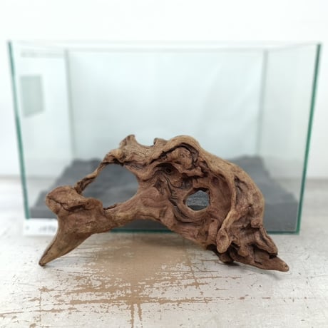 流木専門店のアクアリバー/アクアリウム/グリーンインテリア