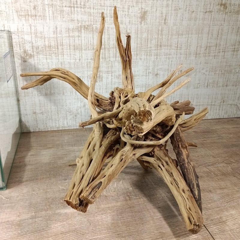 流木。 希少流木BIGナチュラルブランチ 3Lサイズ W約40㎝ | 流木専門店の