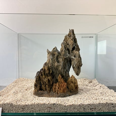 気孔石山（美型） 一点物の水槽オブジェ No. 5072  (45cm水槽)(W約20cm/H約28cm)
