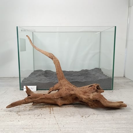 CATEGORY マングローブ系流木 | 流木専門店のアクアリバー