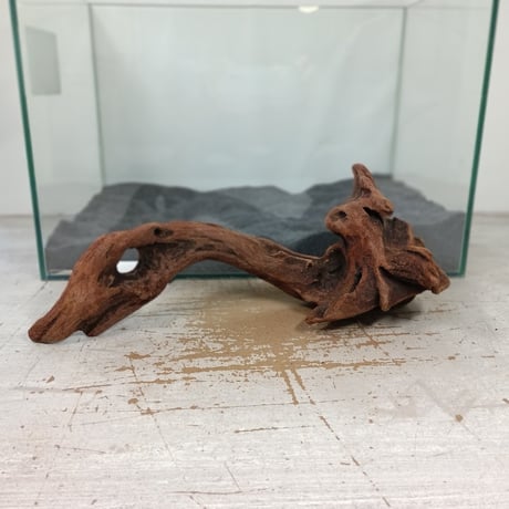 流木専門店のアクアリバー/アクアリウム/グリーンインテリア