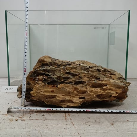 BIG気孔石塊　１点もの　No.1651（W約33cm)(45cm水槽）