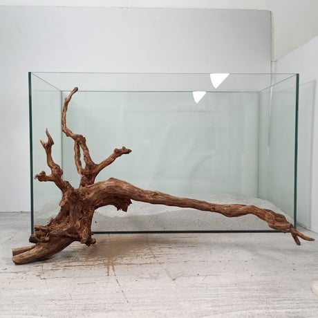 CATEGORY ブランチ系流木 | 流木専門店のアクアリバー/アクアリウム