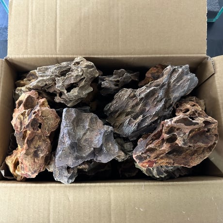 気孔石Sサイズ  おまかせ５Kg（kgあたり596円）（45cm水槽）