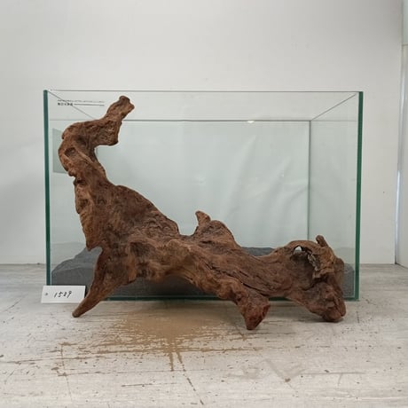 CATEGORY 2L | 流木専門店のアクアリバー/アクアリウム/グリーンインテリア