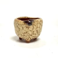 豆盆栽鉢 玉木啓子造 No.123 斑釉丸鉢