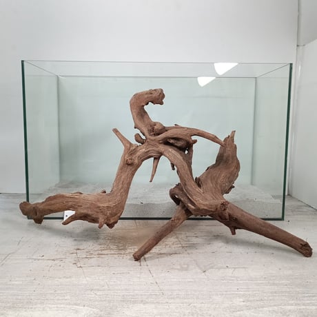 流木専門店のアクアリバー/アクアリウム/グリーンインテリア