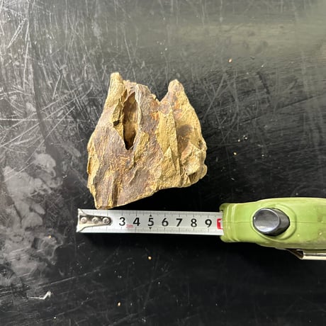 気孔石Sサイズ  おまかせ５Kg（kgあたり596円）（45cm水槽）