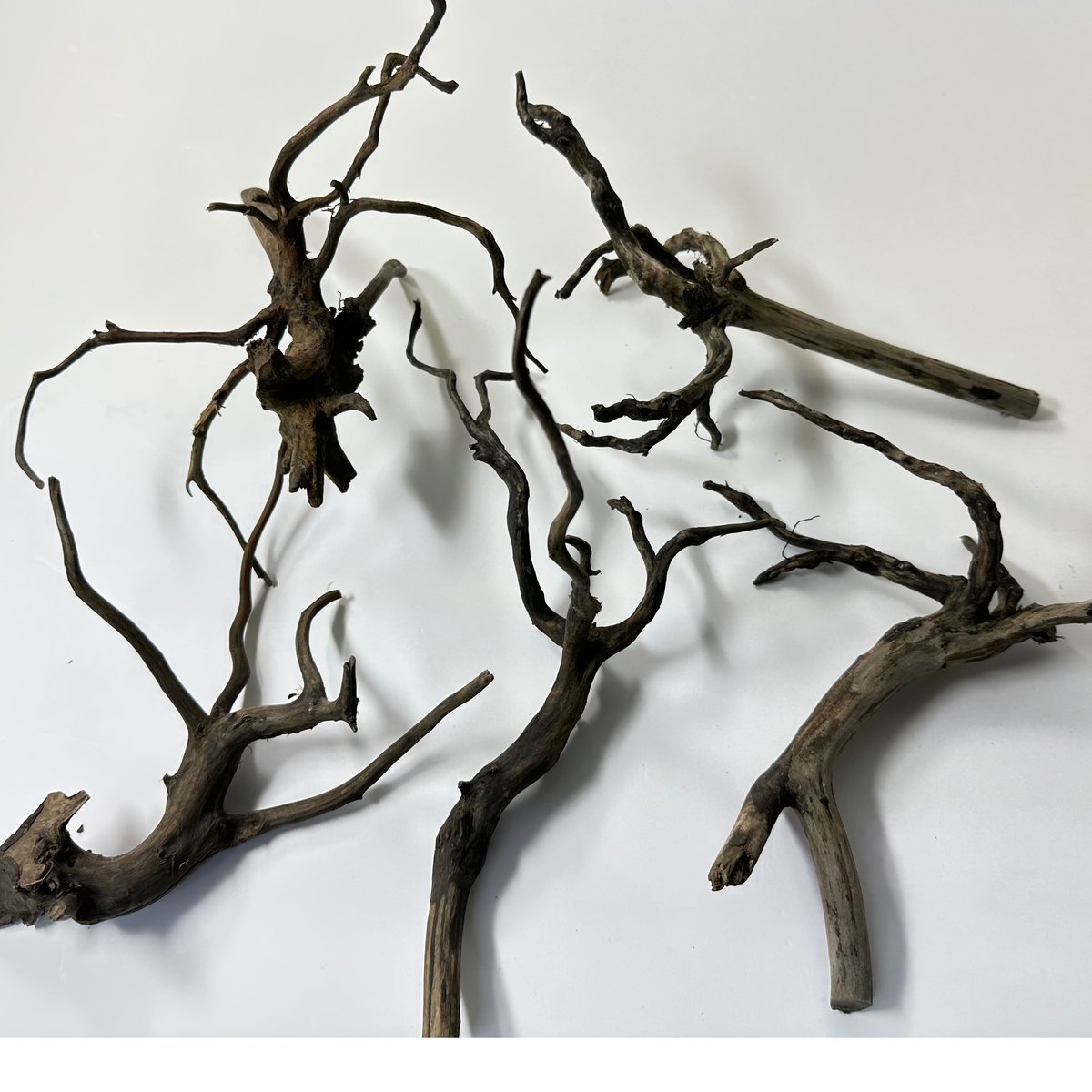 ネシア流木 ブラックタイプSサイズ約10cmから20cm 形状おまかせ(合計10