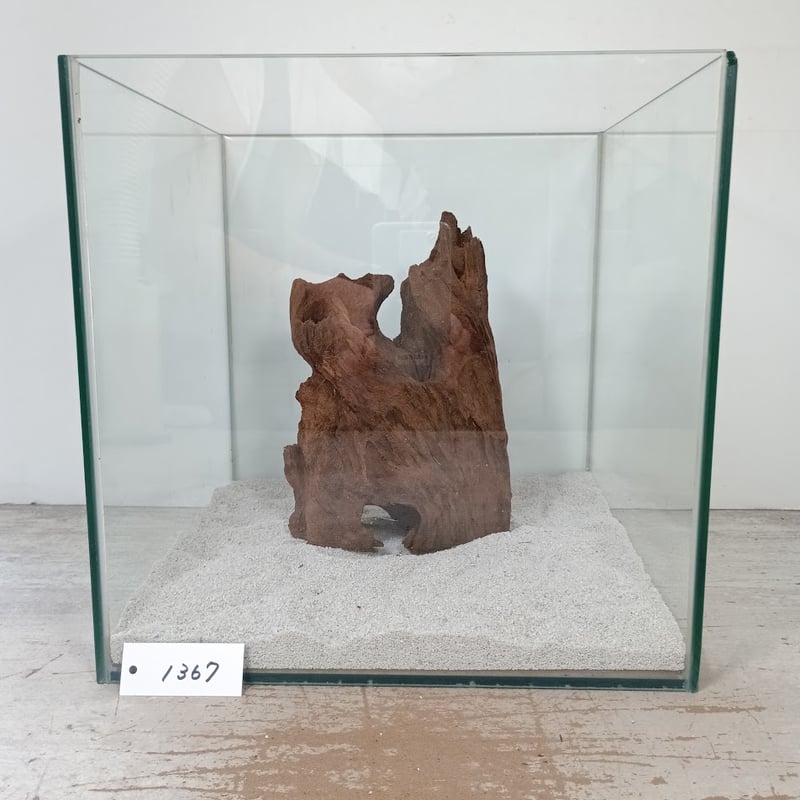 奇跡の流木 鮫モデル　流木 奇跡の流木🪵 