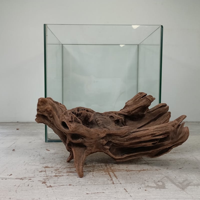 アーチ流木Lサイズ ナローリーフ巻き