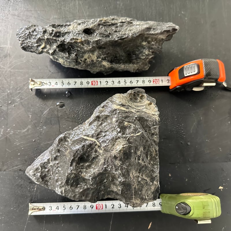 水槽用石 5個セット 竜王石 関西様専用 MSS-5459 青龍石レイアウトセット 酸処理済み龍王石