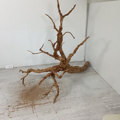 特選BIGネシア流木 ブラウンタイプ　3Lサイズ　1点ものNo.1526【W約 57cm】大型水槽、インテリアにも