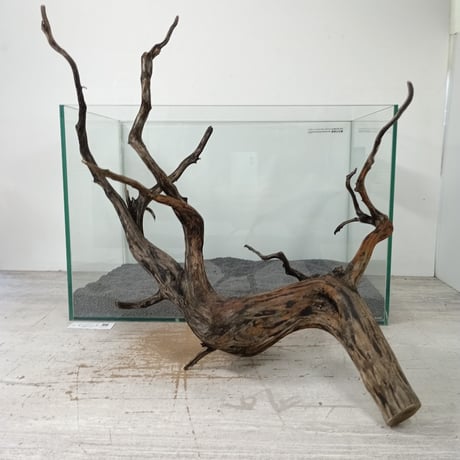 【流木2個セット】手渡し　大型流木 流木2個セット】手渡し 大型流木 流木2個セット】手渡し 大型