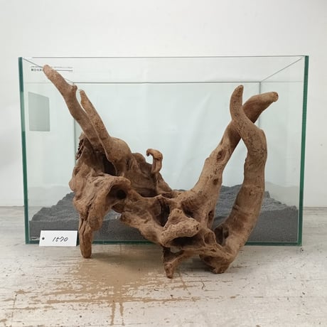 CATEGORY マングローブ系流木 | 流木専門店のアクアリバー