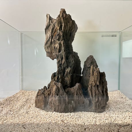 気孔石山（美型） 一点物の水槽オブジェ No. 4947  (45cm水槽)(W約23cm/H約31cm)