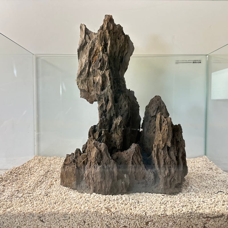 気孔石オブジェ⚫︎インテリア 置物 天然 自然 シンプル 気孔石オブジェ⚫︎インテリア 置物 天然 自然 シンプル